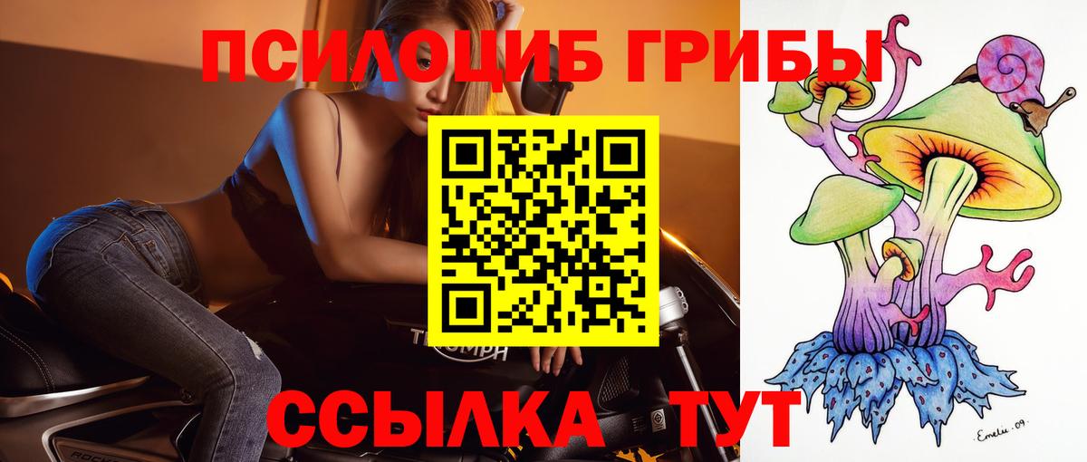 Галлюциногенные грибы ЛСД Черняховск