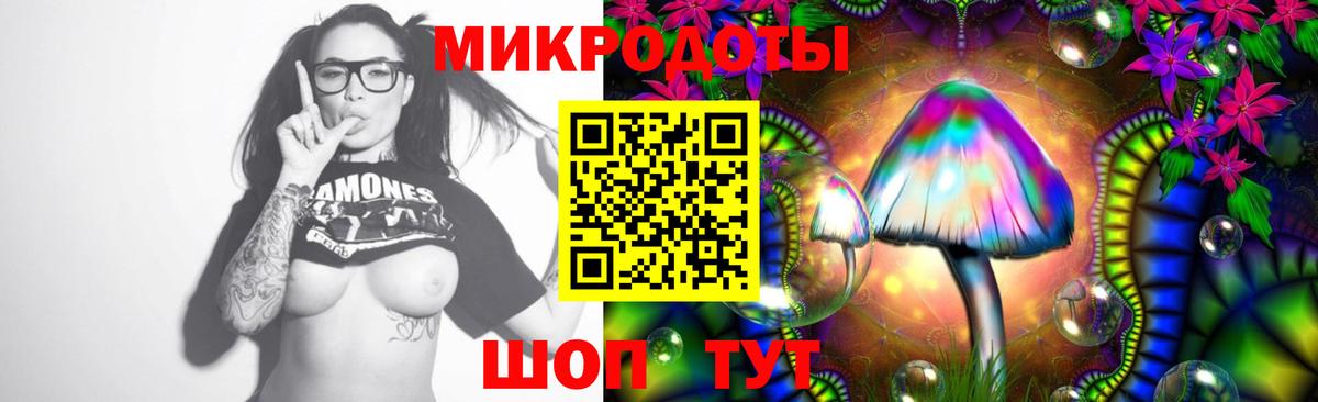 Черняховск  Псилоцибиновые грибы Psilocybe  Вход с VPN 